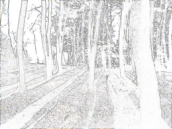 an image of a drawing with the title'how many trees can you see?