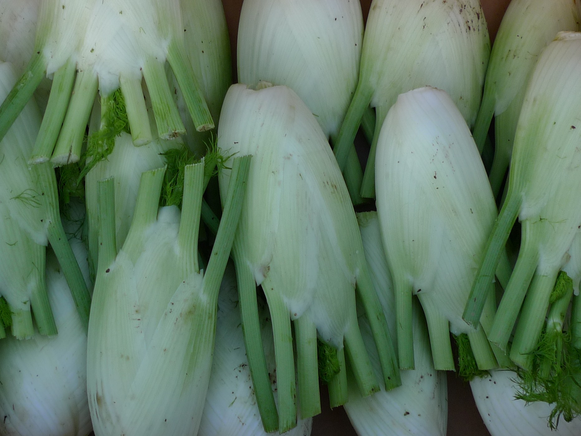 this is an assortment of onions and onions with their leaves removed