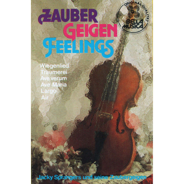 a book cover with an violin resting against it