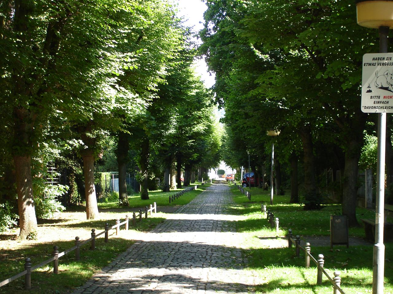 a park walkway lined with benches and trees