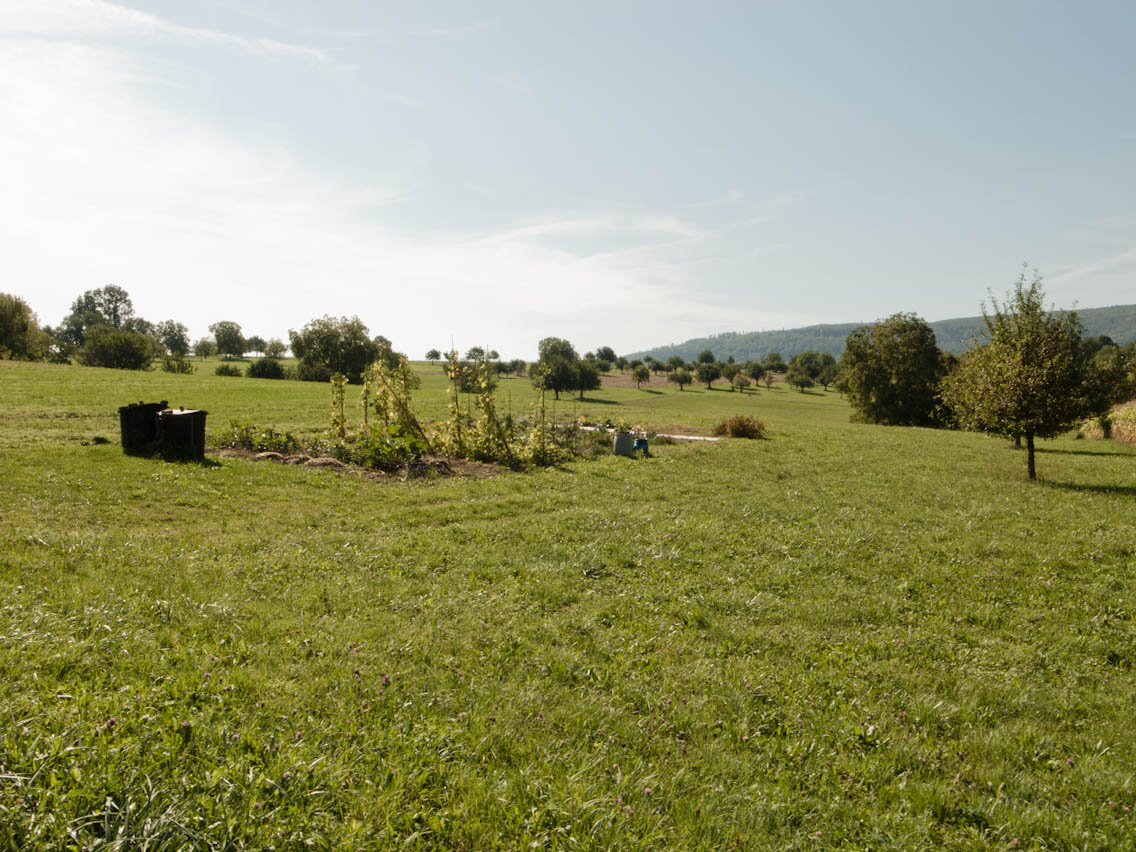 green field with an object in the middle