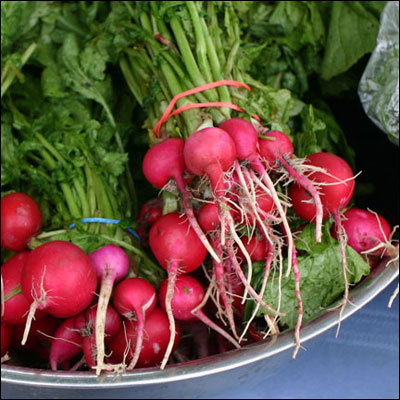 a close up of many radishes on the ground