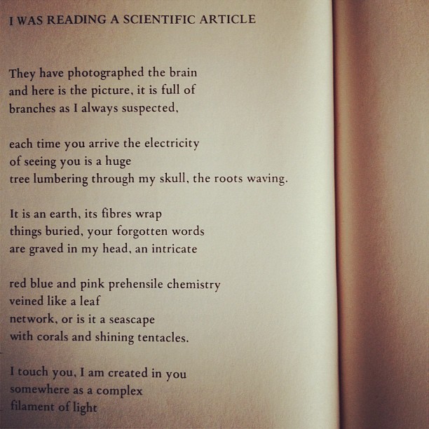 an image of a poem in a book