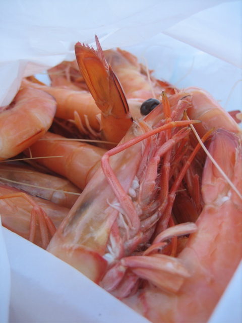 a closeup image of shrimp in plastic bags