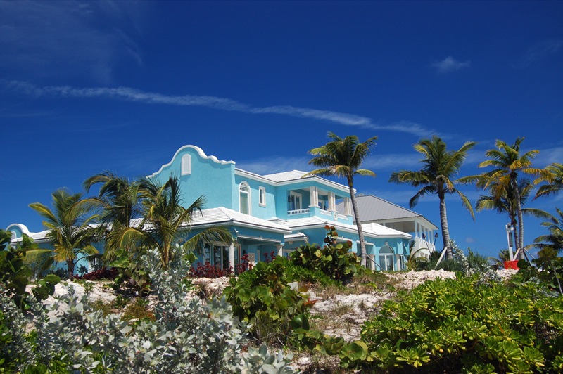 a blue house with palm trees and white roof