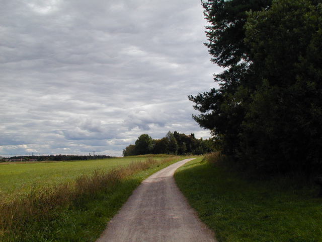 a dirt road near a grassy field under grey skies
