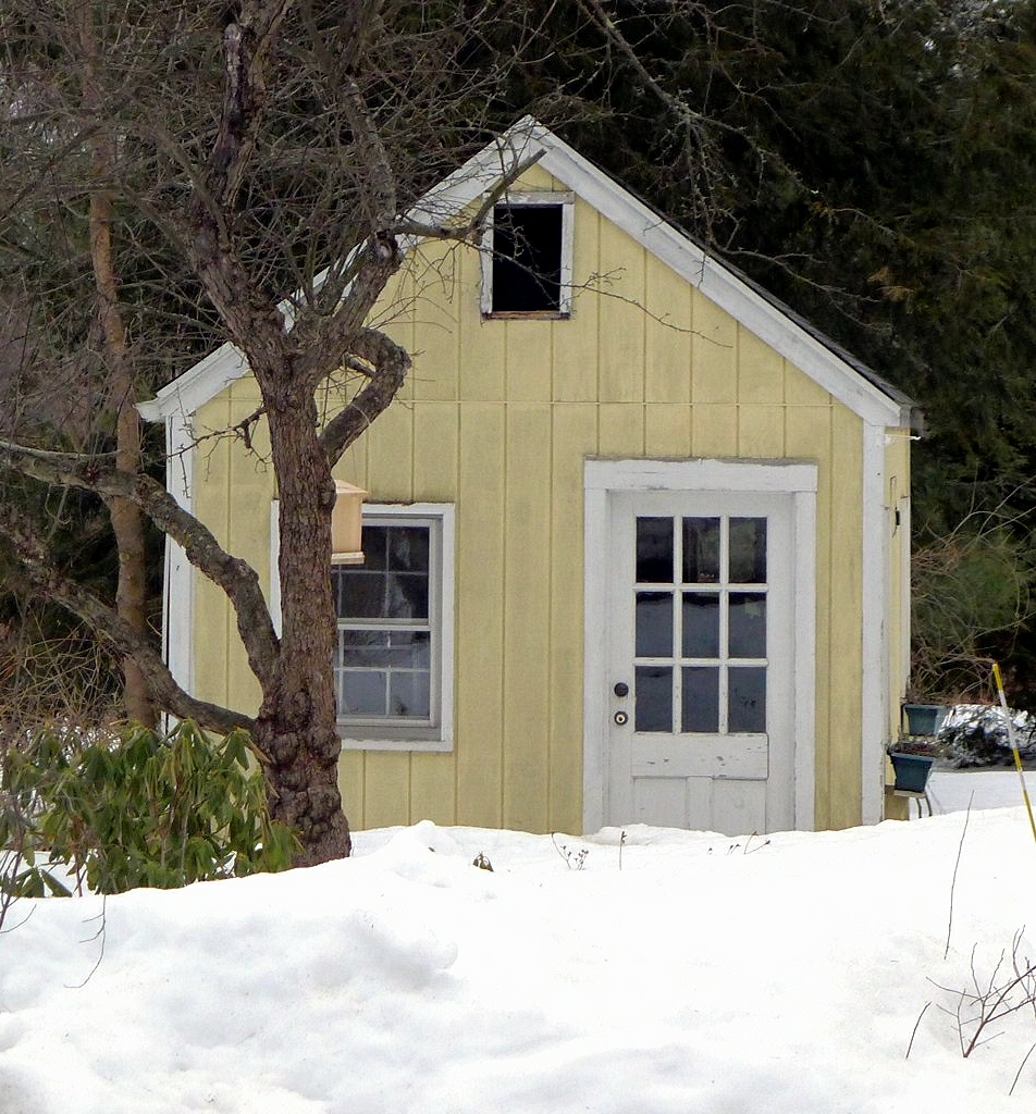 the small yellow cabin is next to a tree