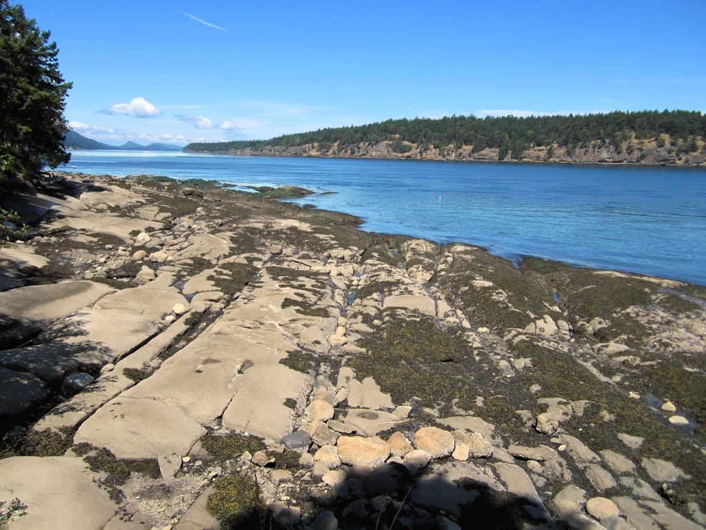 this is an expansive rocky beach on the coast