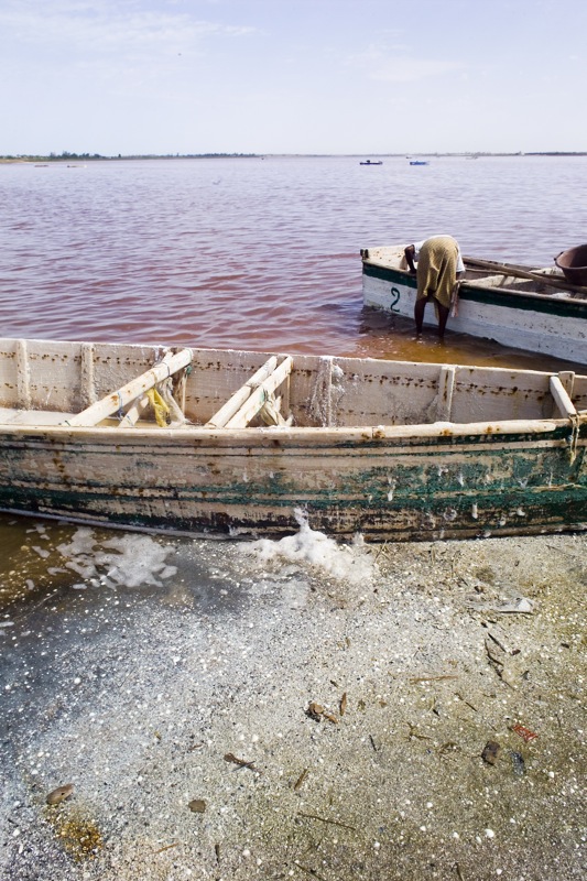 an elephant standing on a boat on top of a lake