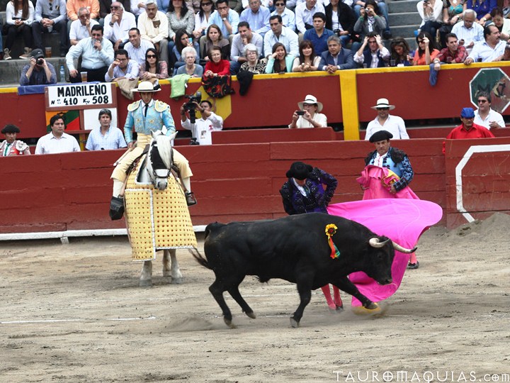 men in full costumes walk towards the bull in a rodeo