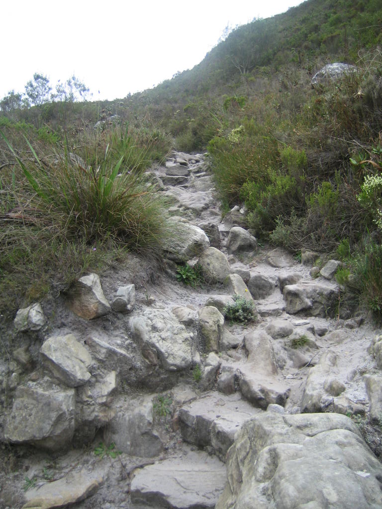 a stone path on the side of a mountain with rocks