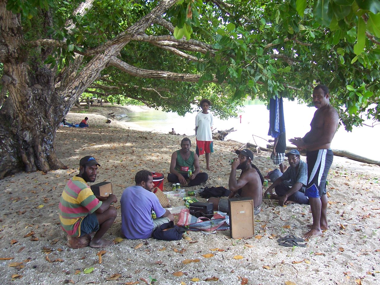 a group of people sitting underneath the shade of trees
