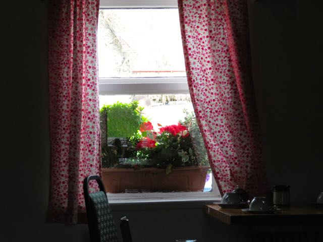 red flowered curtains over a kitchen window