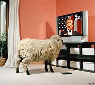 the sheep is standing by the television