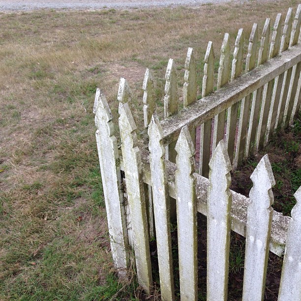 a po of an old fence with some weeds growing in it