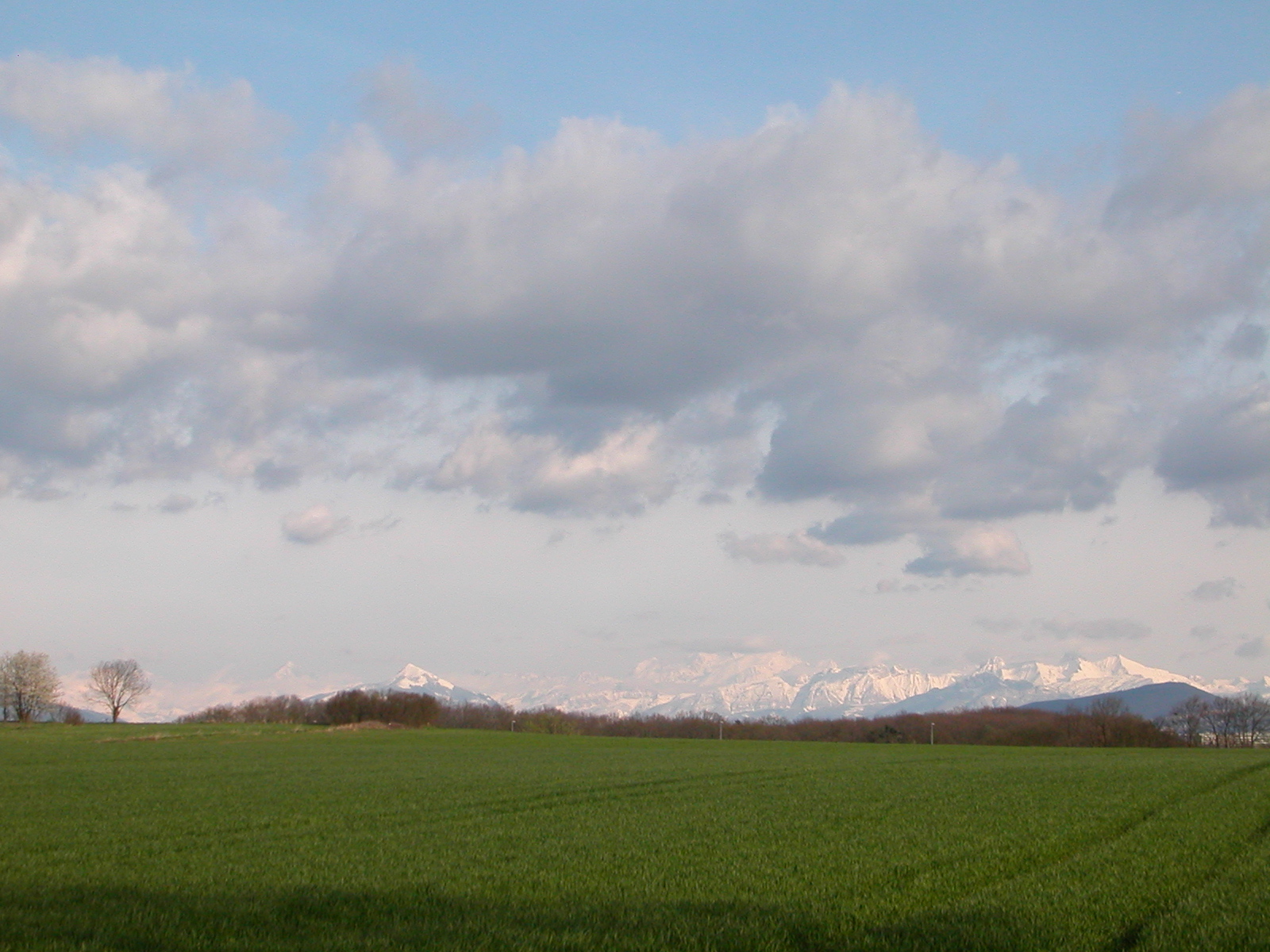 a cloudy sky over some green field and trees