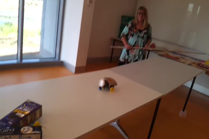 the woman is playing with plastic animals on a table