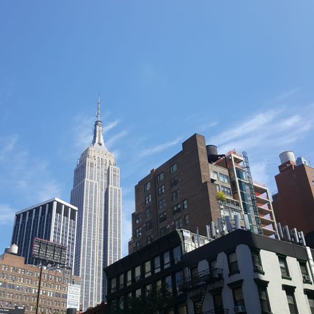 a view of skyscrs from across the city