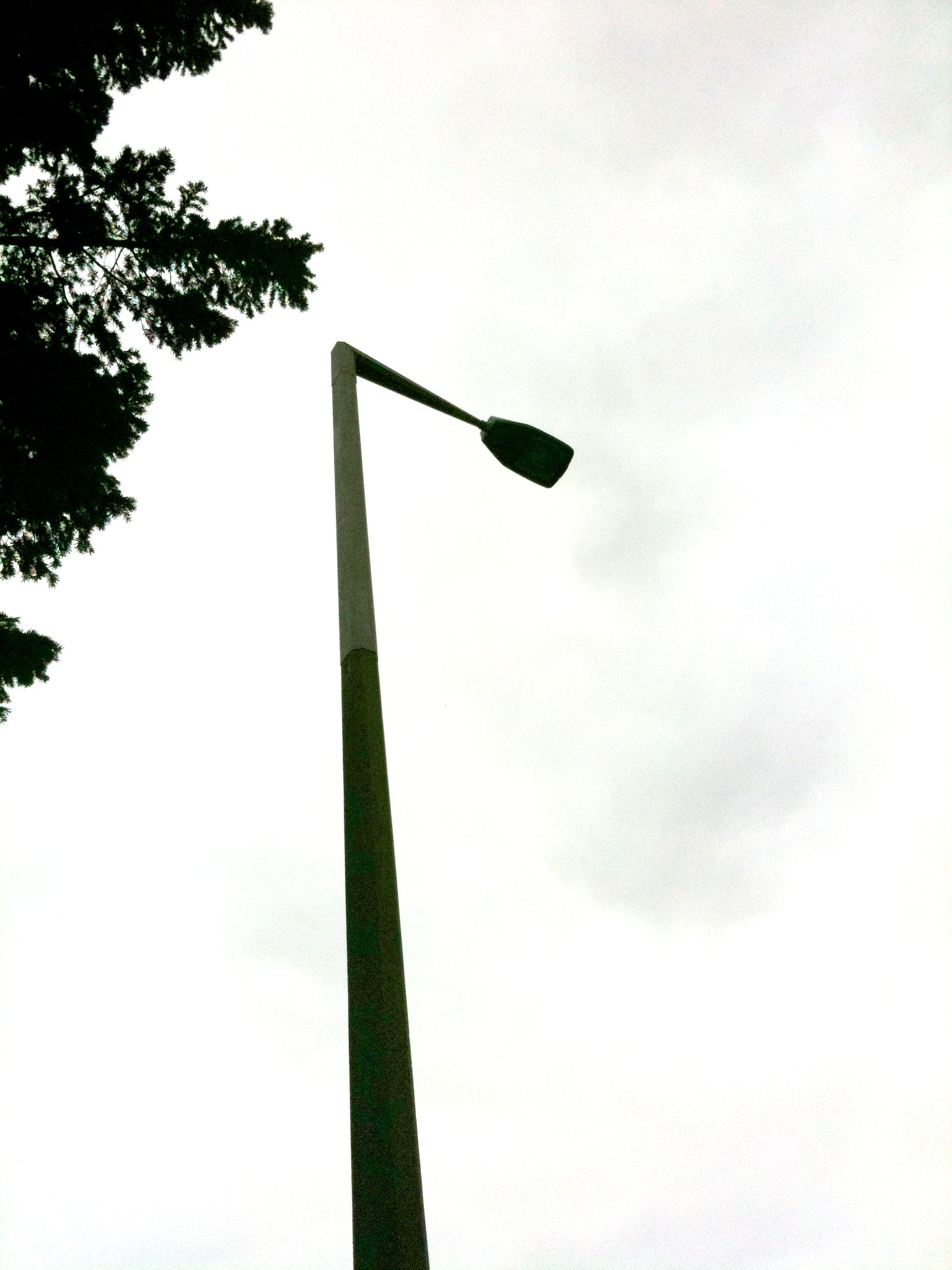 a street lamp, street light and tree in silhouette