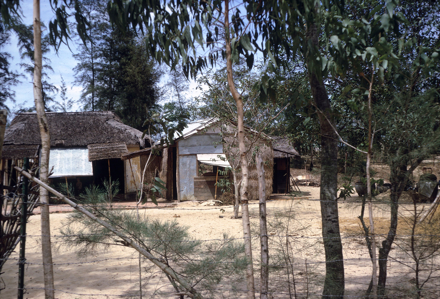 a small village with a house near some trees