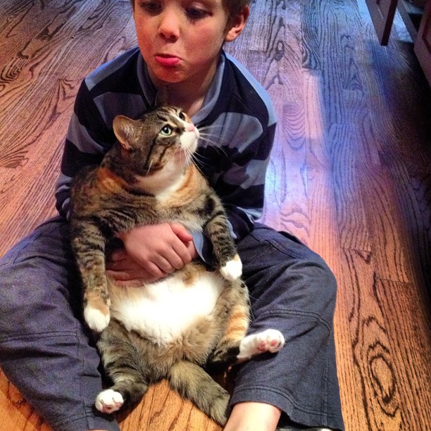 boy in blue shirt and black striped shirt holding a cat