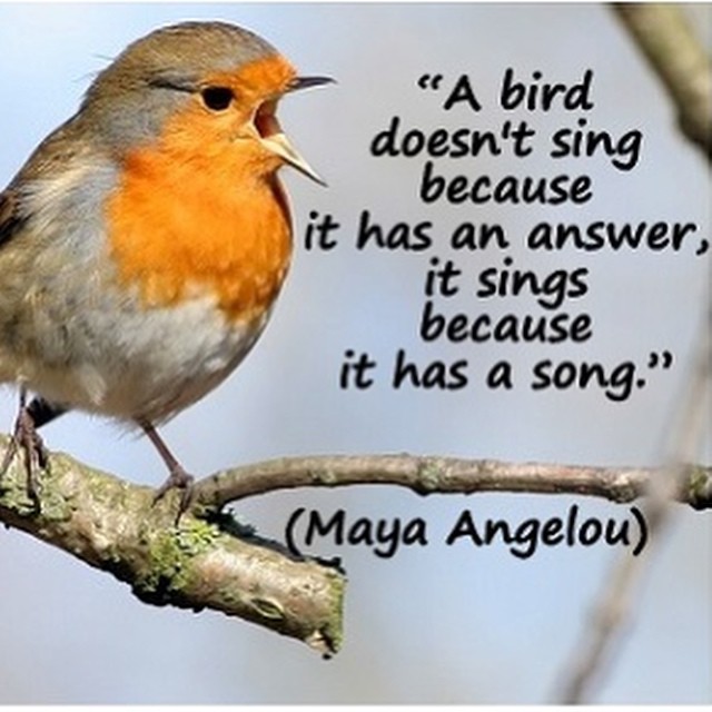 a small bird is sitting on a tree nch with a quote written below