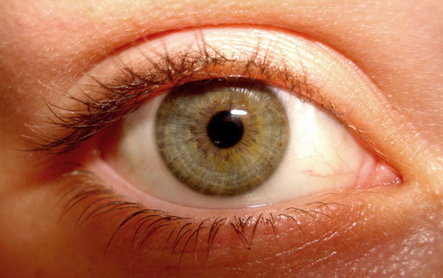 the front view of an eye with green iris