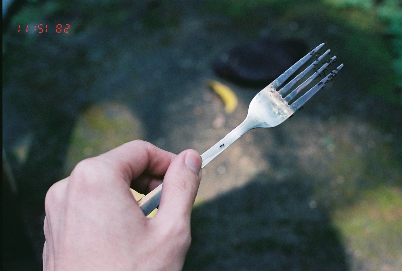 a hand holding up an open fork, which contains a piece of cake