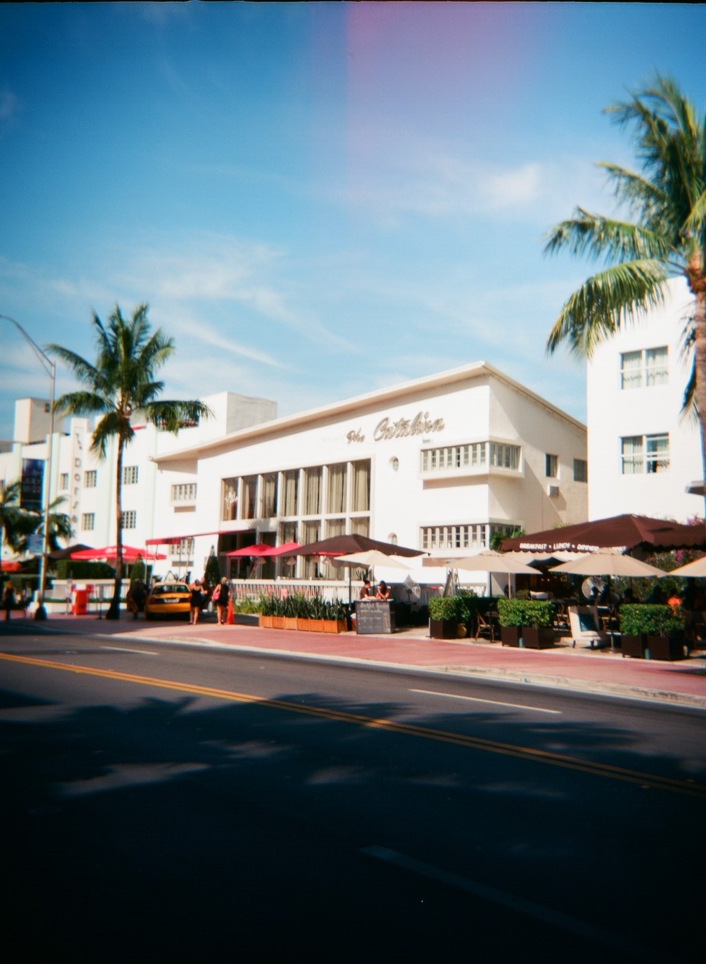 this is a white building with a lot of palm trees around it