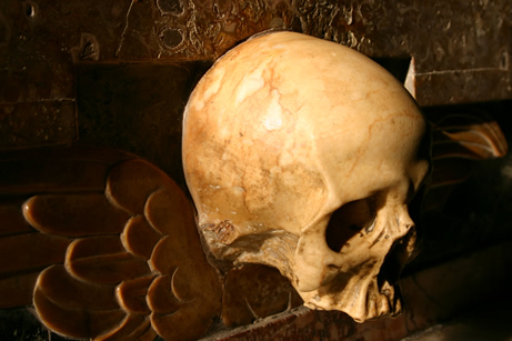 a human skull in a cabinet in the dark