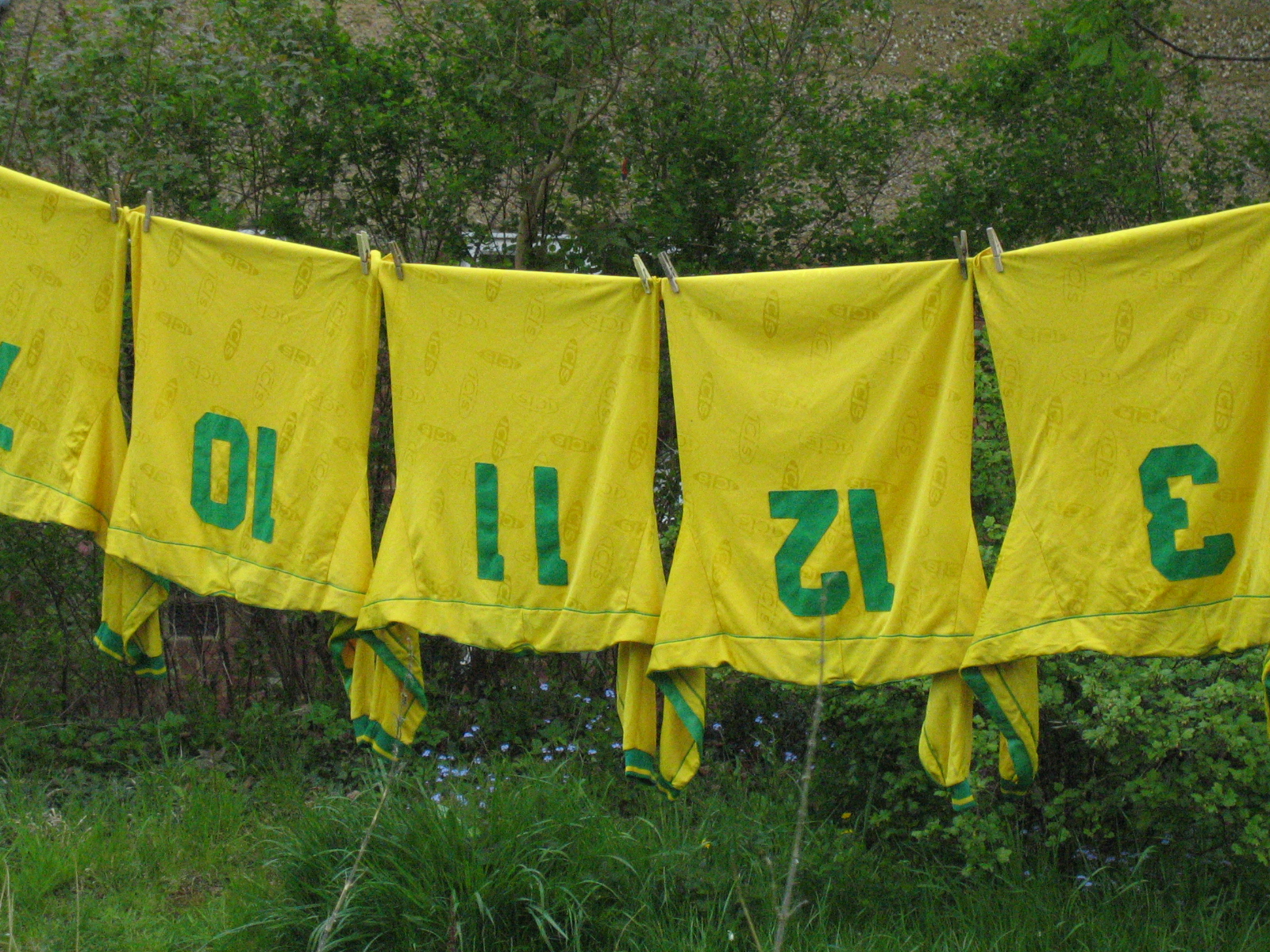 several yellow towel flags hung next to a wooded area