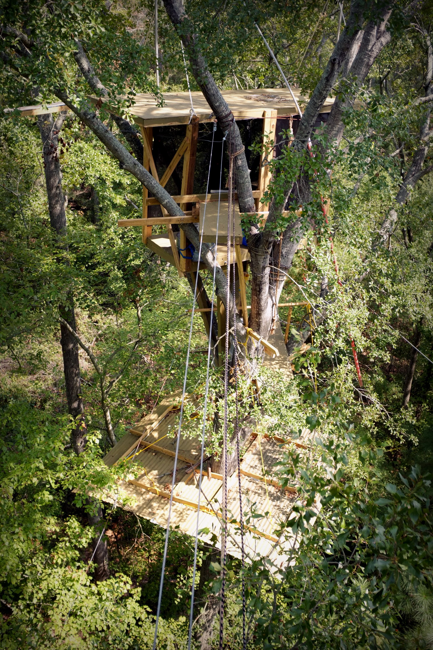a tree - house with ropes suspended from it is surrounded by green trees