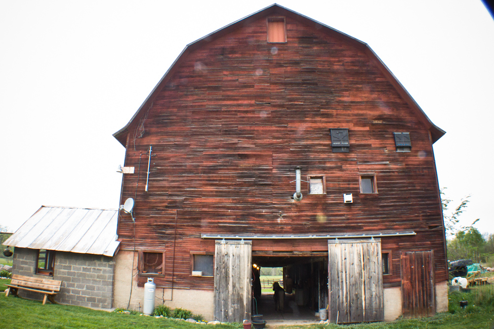 a old weathered barn with lots of windows