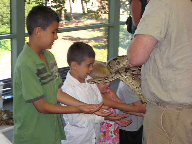 an adult showing s how to pet a snake