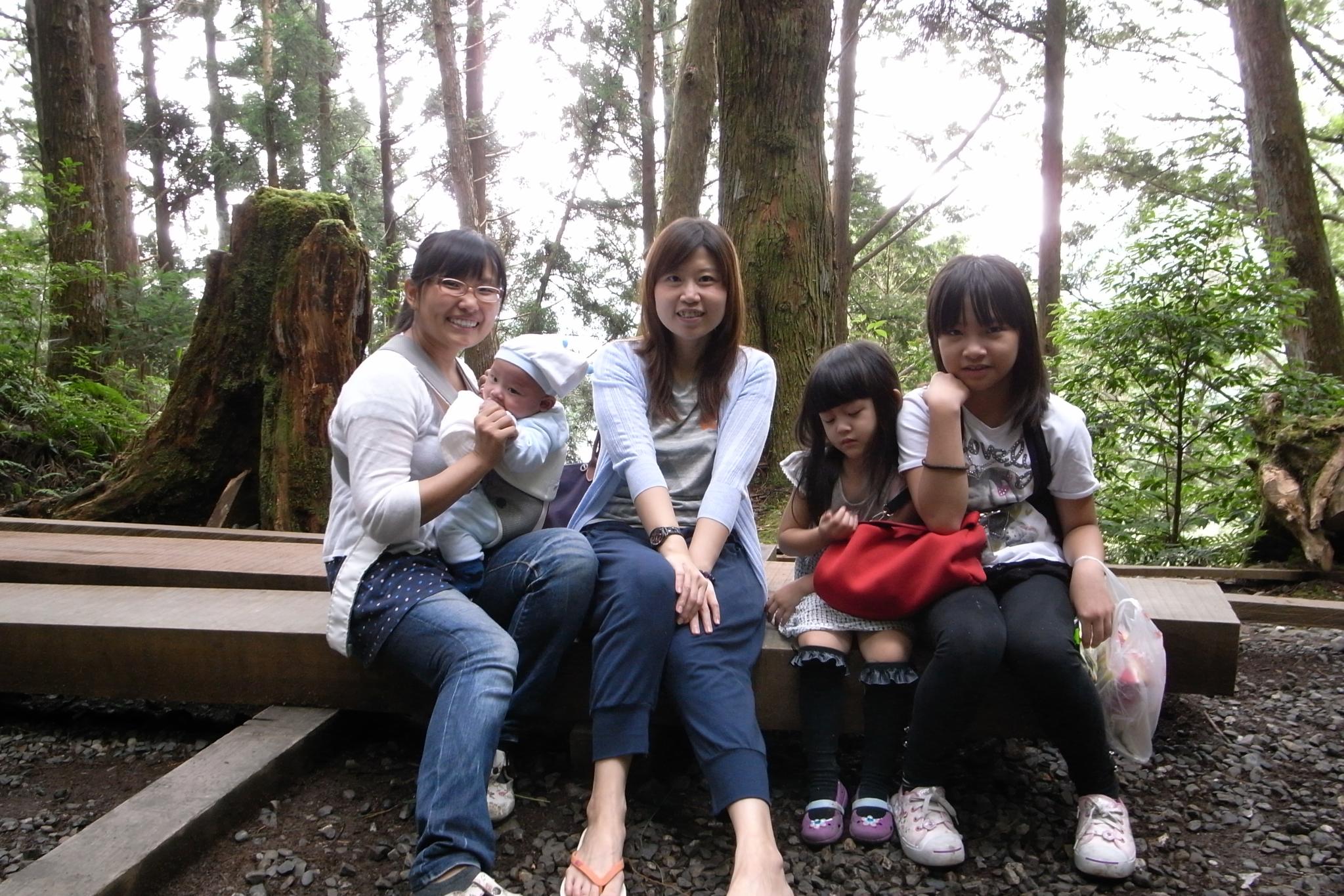 some people are sitting on a bench near some trees