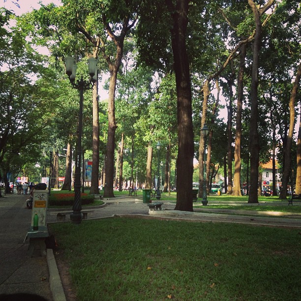 an open city park filled with green grass