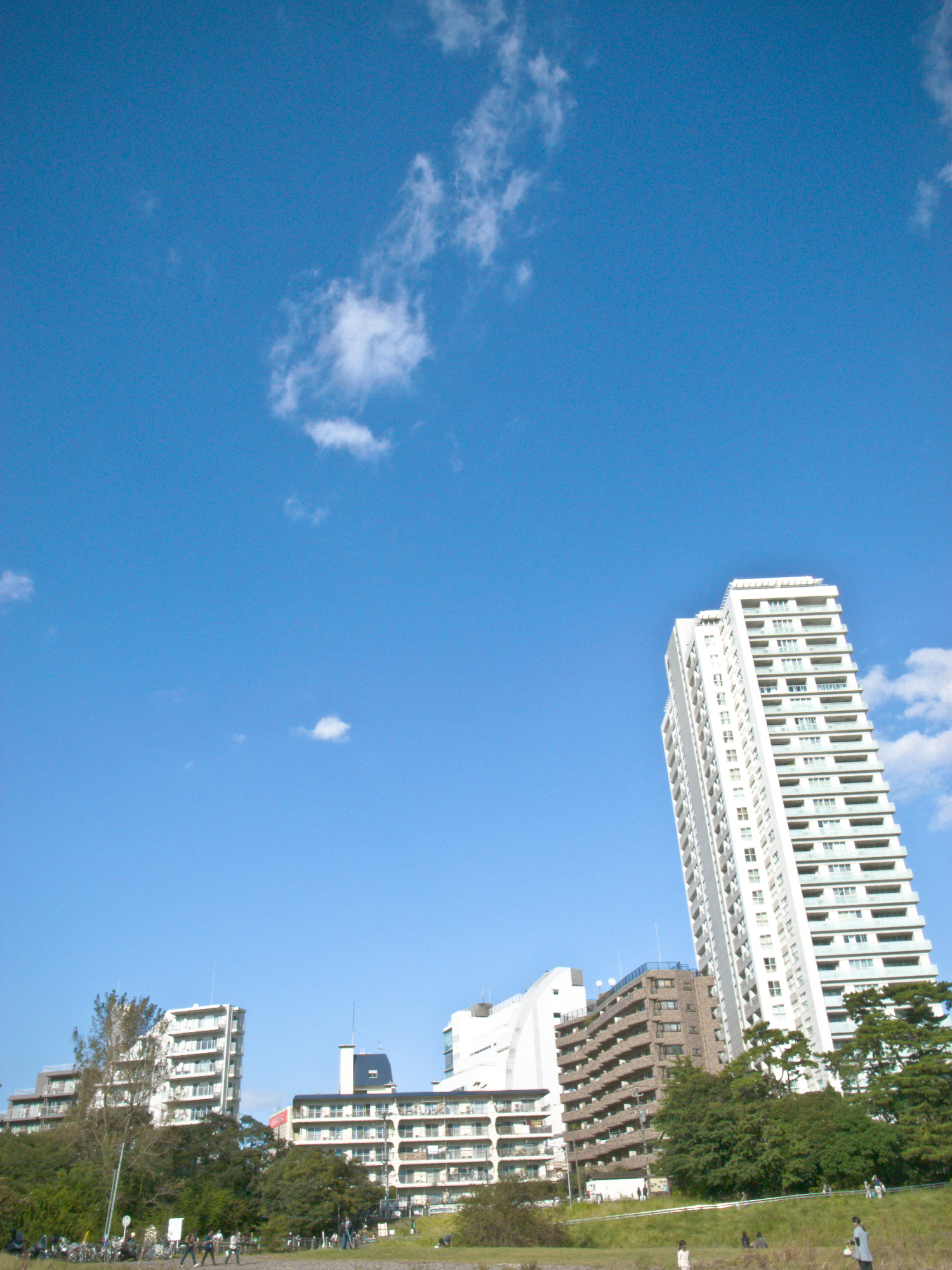 white buildings against a blue sky in a park