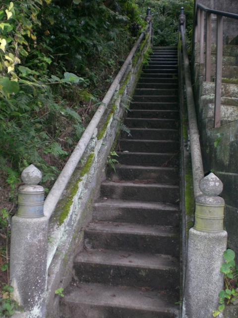 a concrete staircase next to a lush green hillside