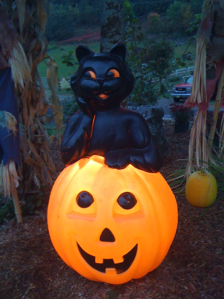 a black cat sitting on top of a pumpkin in the night