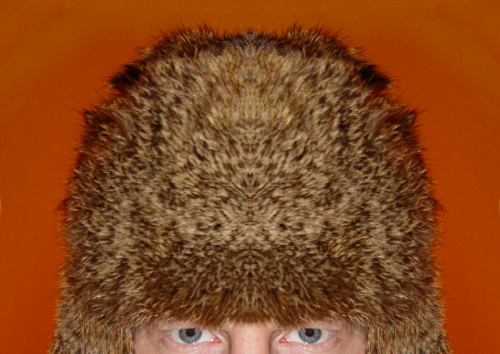 a man with a fuzzy hat over his head
