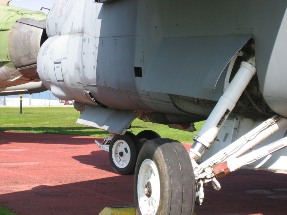 the front wheel of an aircraft on display