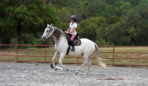 a woman rides a white and brown horse in an arena