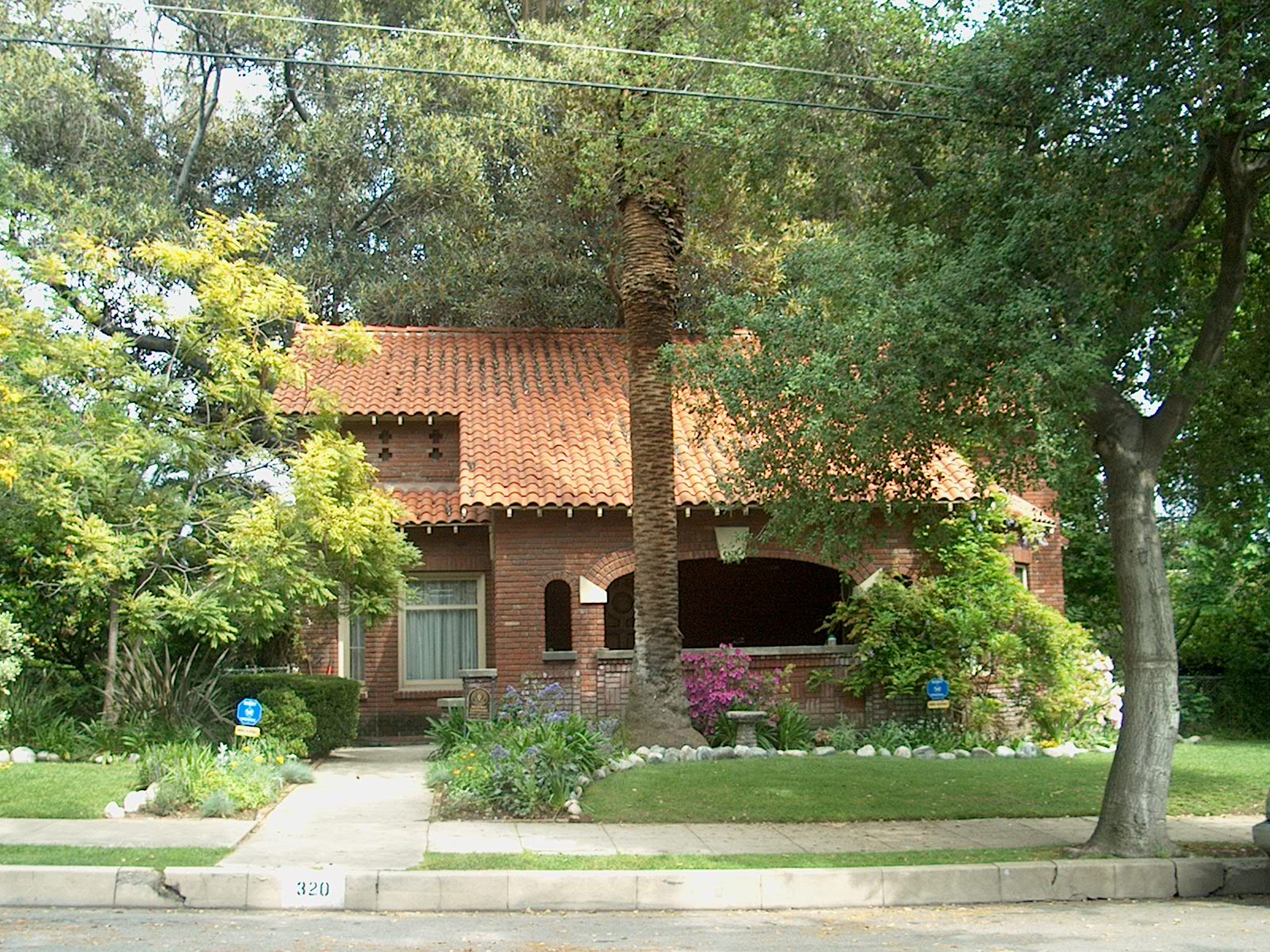 a house with a tree and some bushes in front