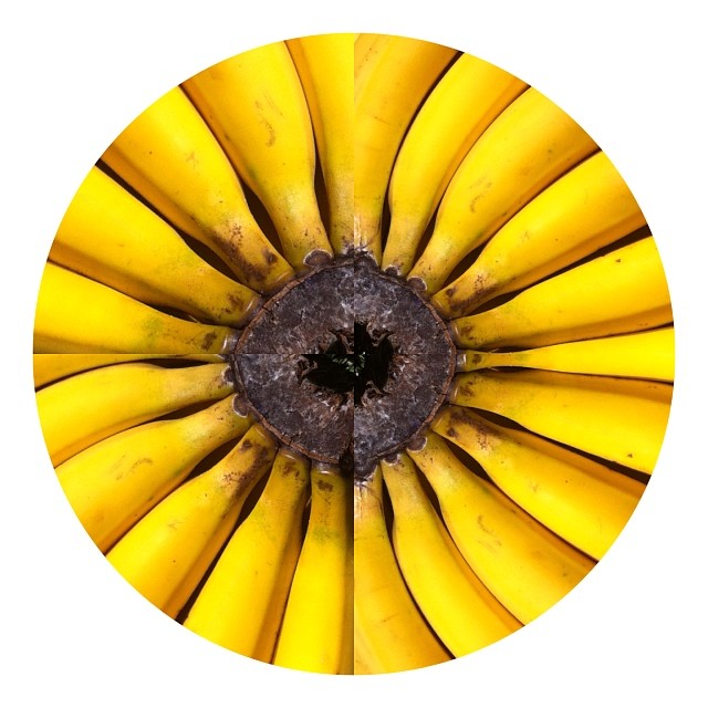 a top down view of an almost ripe looking banana