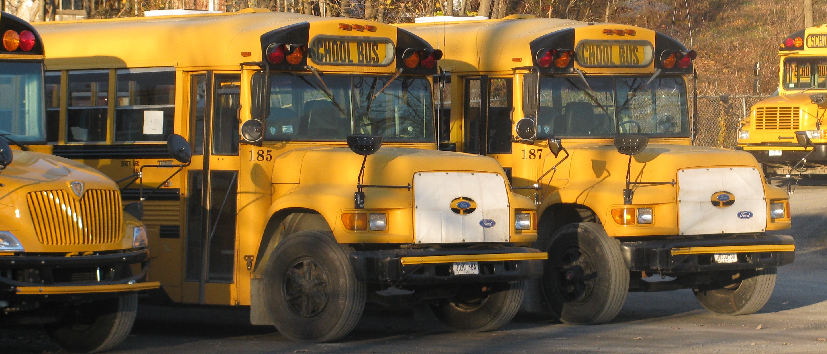 three school buses parked close to each other