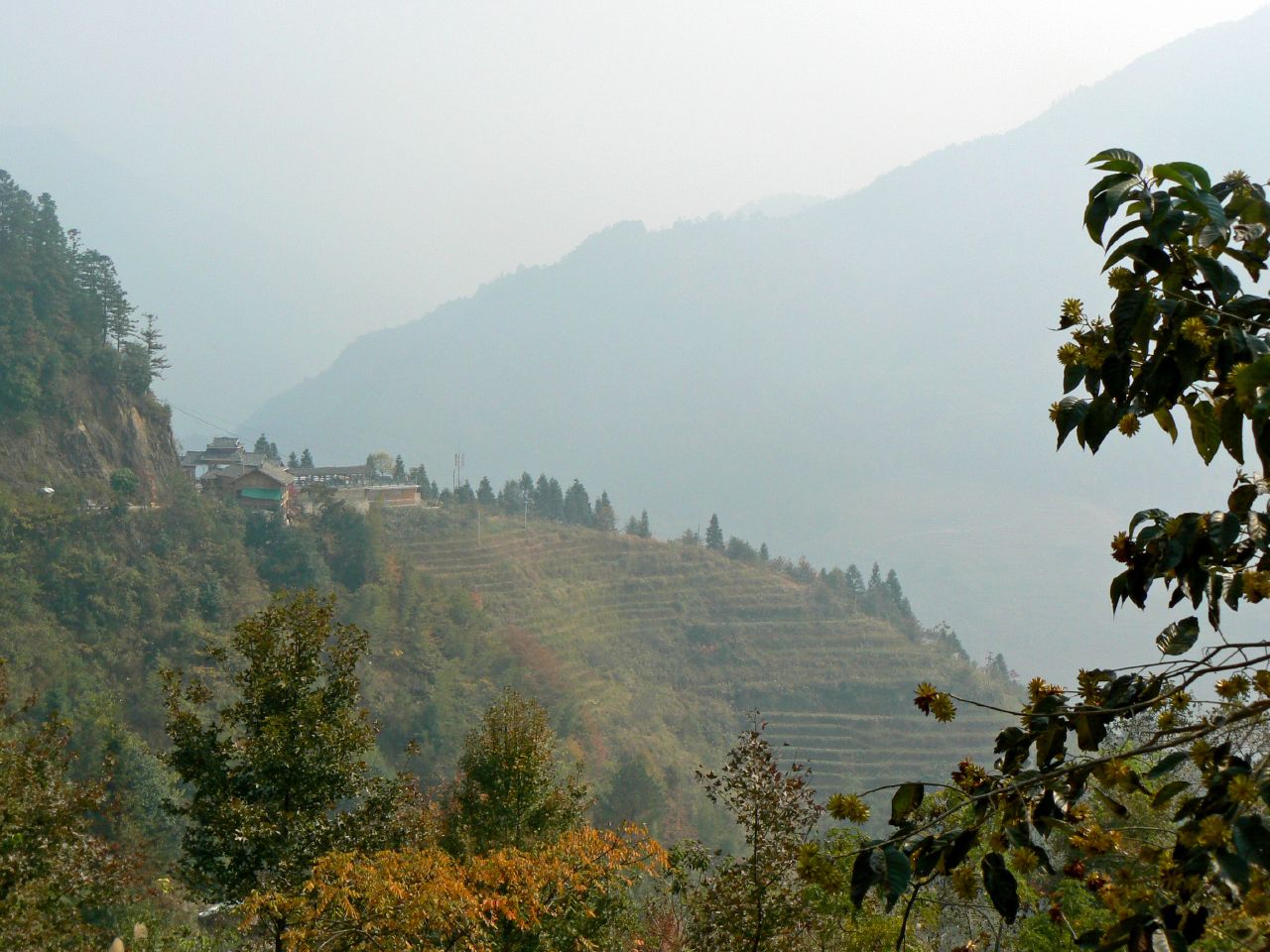 a scenic view of mountains with a tree line on the right