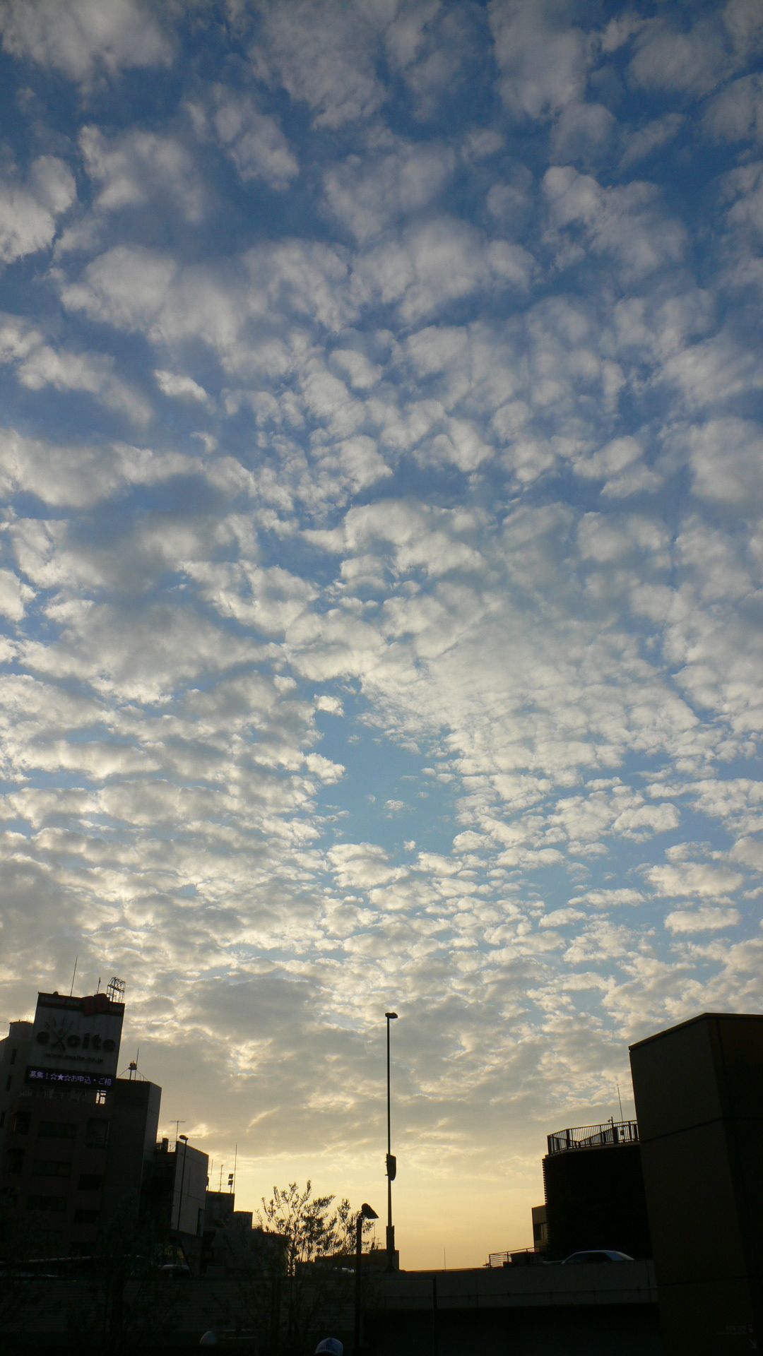 a large building under the blue cloudy sky