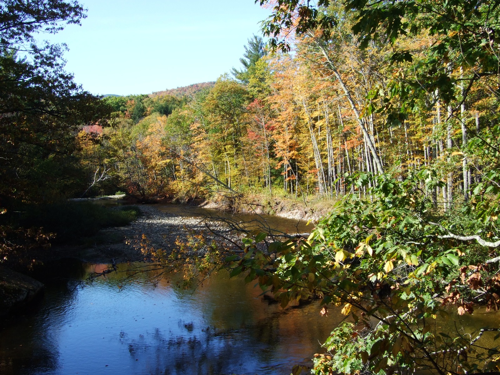 river near woods during fall in leaves surrounding it