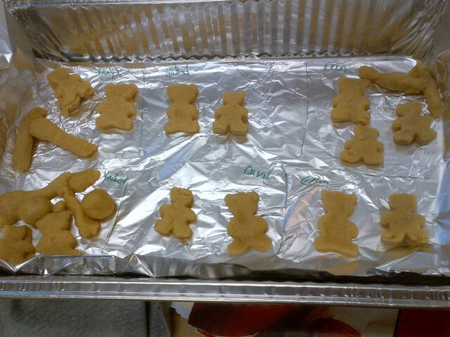 several small cookies with small teddy bears on them