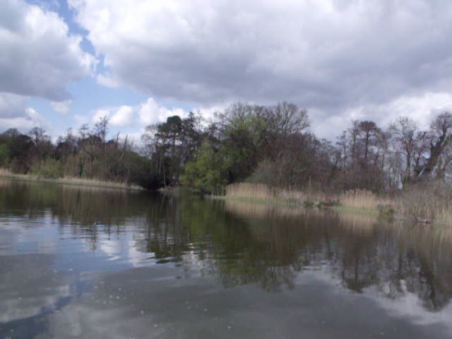 calm water on the bank of a pond
